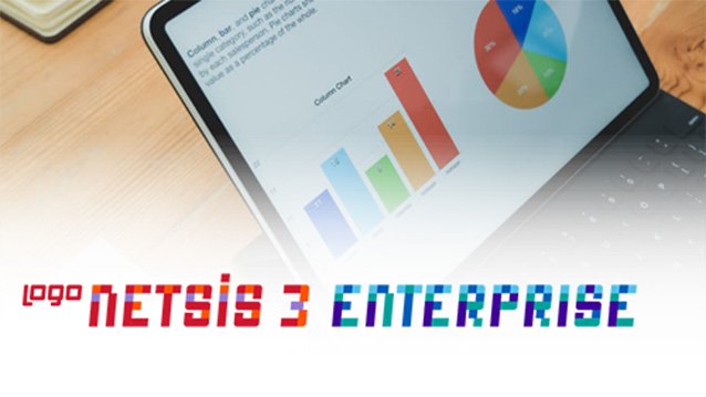 Logo Netsis 3 Enterprise